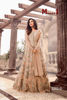 Picture of Salwar Suit Partywear 04