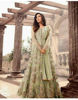 Picture of Salwar Suit Partywear 04