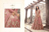 Picture of Salwar Suit Partywear 04